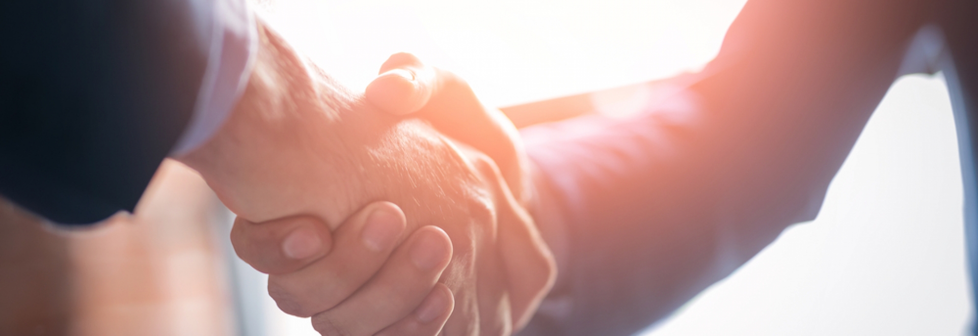 Two People Shaking Hands