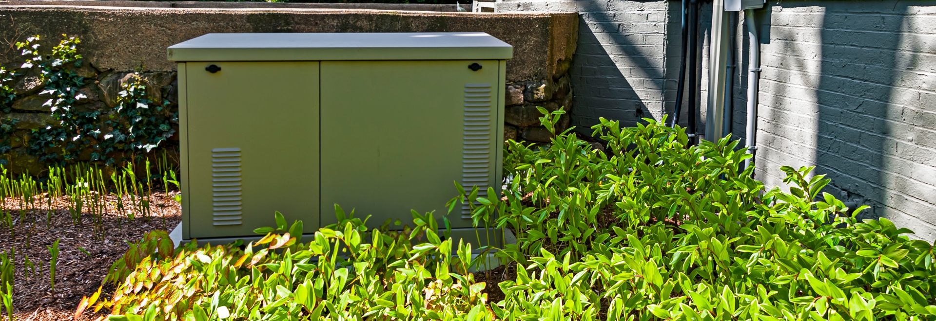 standby home generator behind green bush