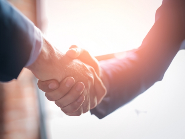 Two People Shaking Hands