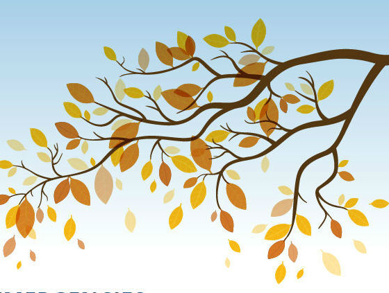 INFOGRAPHIC: Start Benefiting From Heating Maintenance Early