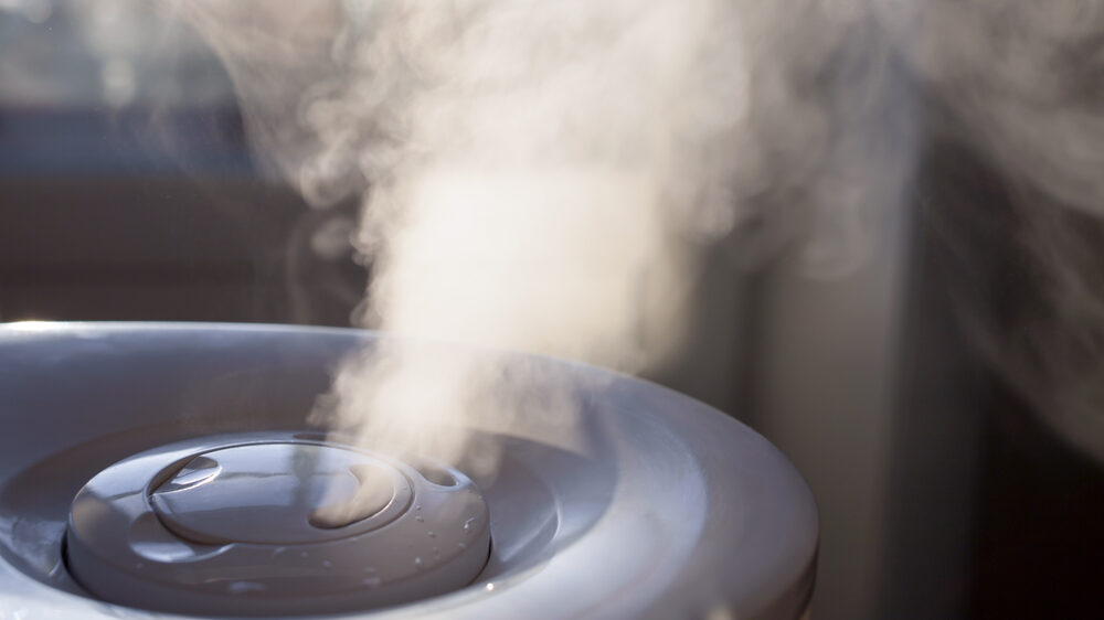 Do I Really Need a Whole-Home Humidifier? (Spoiler- Yes, and Here’s Why)