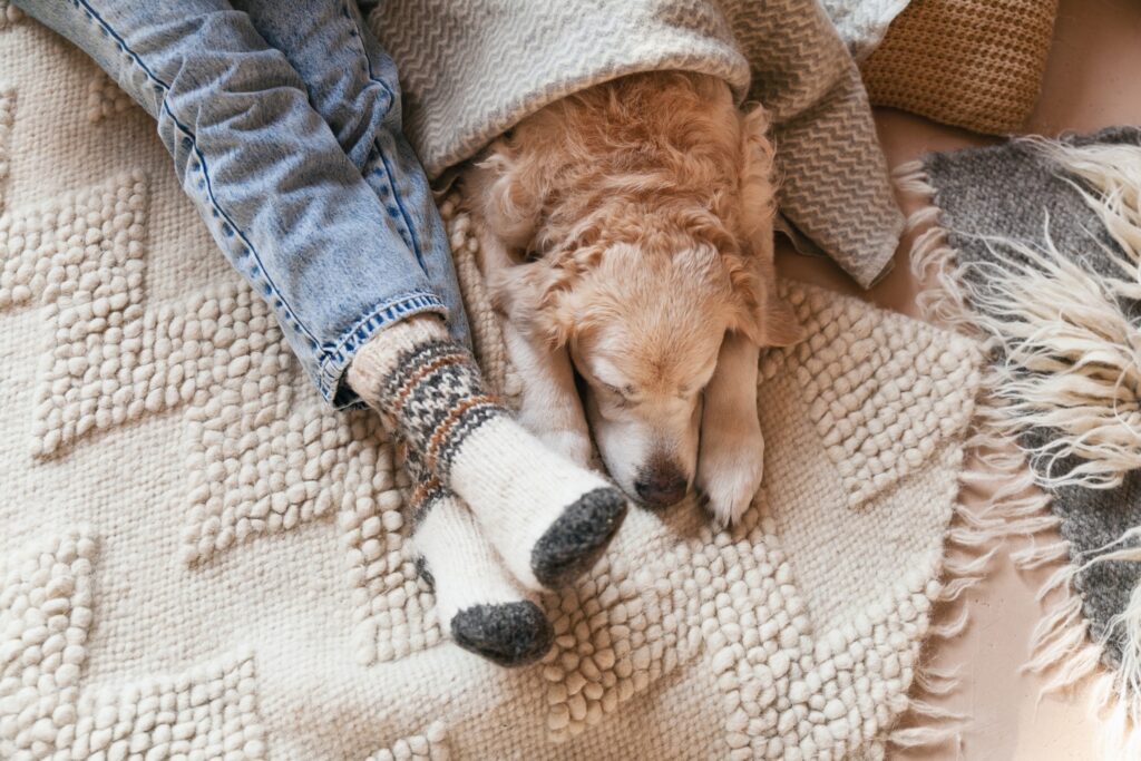 Heat Pump vs Furnace: Which One is Right for Your Home?