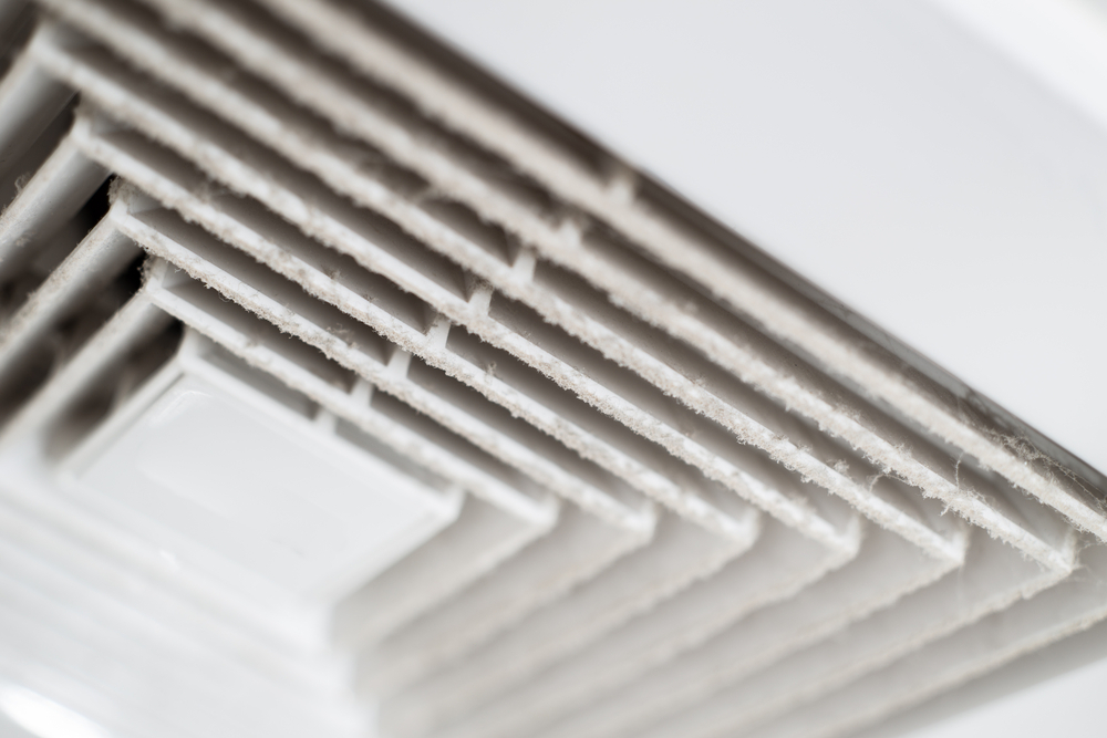 Should I Have My Air Ducts Cleaned?