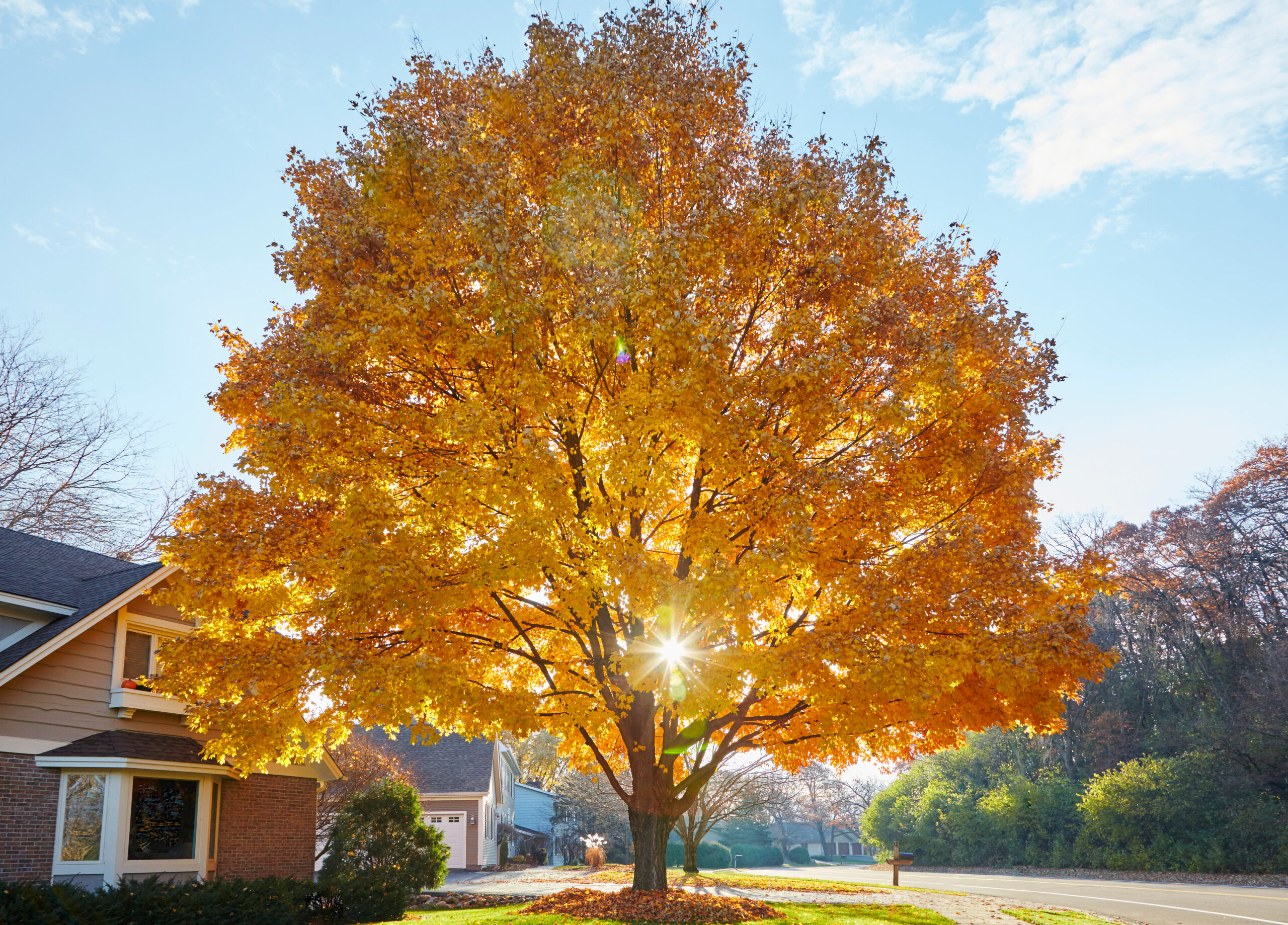 The Heating Maintenance Checklist Every Homeowner Should Use This Fall
